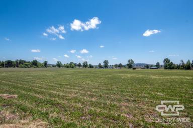 Residential Block For Sale - NSW - Glen Innes - 2370 - 5 Acres, Ready For Your Dream Home  (Image 2)