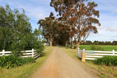 Lifestyle For Sale - VIC - Hamilton - 3300 - “Arrunga” -An Outstanding Property on Hamilton’s Fringe - 256 Ac / 103.59 Ha  (Image 2)