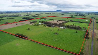 Lifestyle For Sale - VIC - Hamilton - 3300 - “Arrunga” -An Outstanding Property on Hamilton’s Fringe - 256 Ac / 103.59 Ha  (Image 2)