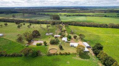 Farmlet For Sale - VIC - Heywood - 3304 - Two for the price of one – 10 acres  (Image 2)