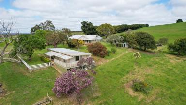 Farmlet For Sale - VIC - Heywood - 3304 - Two for the price of one – 10 acres  (Image 2)