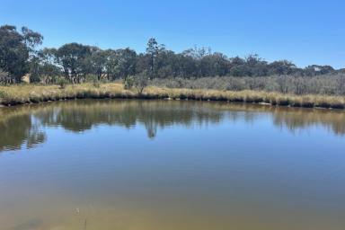 Other (Rural) For Sale - NSW - Boorowa - 2586 - Your own Rural Haven!
Lot 21 (part 2400 Rugby Road Boorowa)  (Image 2)