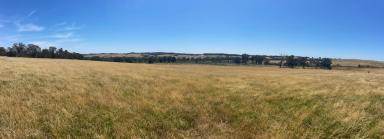 Other (Rural) For Sale - NSW - Boorowa - 2586 - Your own Rural Haven!
Lot 21 (part 2400 Rugby Road Boorowa)  (Image 2)