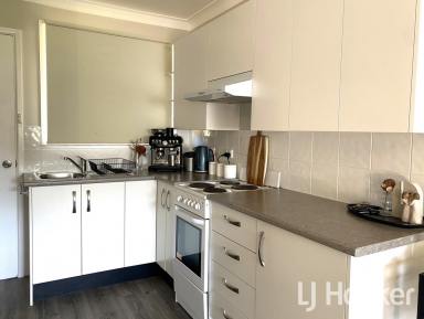 Unit For Lease - NSW - Inverell - 2360 - Renovated, Modern Unit  (Image 2)