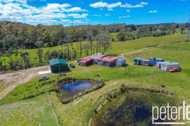 Other (Rural) For Sale - TAS - Sassafras - 7307 - Versatile and Future-Ready Property: Ideal for Agriculture, Storage, and Sustainable Living  (Image 2)