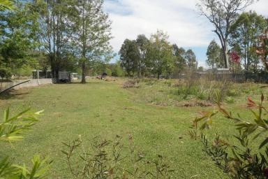 Residential Block For Sale - NSW - Tabulam - 2469 - Huge Flat Block, Huge Potential  (Image 2)