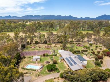 Livestock Auction - VIC - Victoria Point - 3294 - 'Coolanure'  (Image 2)