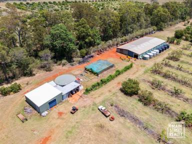 Horticulture For Sale - QLD - Cherry Creek - 4314 - Discover Your Rural Dream: Thriving Avocado Farm  (Image 2)