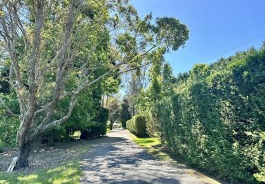 Acreage/Semi-rural For Lease - NSW - Broughton Vale - 2535 - FernGrove Estate - Spacious Family Home on 2 Acres  (Image 2)