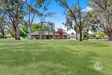 Acreage/Semi-rural For Sale - VIC - Devon Meadows - 3977 - Modernised Homestead With Salon & Large Shed  (Image 2)