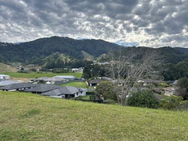 Residential Block For Sale - NSW - Coffs Harbour - 2450 - NEW PRICE / a great block.  (Image 2)