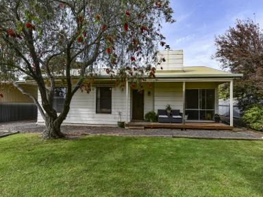 House For Sale - SA - Penola - 5277 - Inviting Home on Huge Allotment  (Image 2)