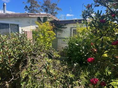 House Sold - TAS - Waratah - 7321 - Wonderful Waratah  (Image 2)