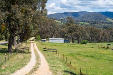 Lifestyle For Sale - VIC - Allans Flat - 3691 - Quiet Private Rural Lifestyle On The Yackandandah Creek  (Image 2)