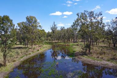 Mixed Farming For Sale - QLD - Dixalea - 4702 - CQ Irrigation & Grazing  (Image 2)