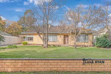 House For Sale - VIC - Rochester - 3561 - CREAM BRICK CLASSIC WITH GREAT BACKYARD SPACE AND VACANT BLOCK  (Image 2)