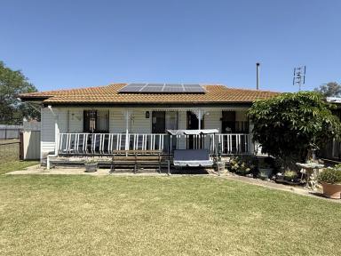 House For Sale - NSW - Moree - 2400 - INVEST OR OCCUPY!  (Image 2)