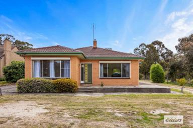 House Sold - VIC - Ararat - 3377 - West end home with plenty of room  (Image 2)