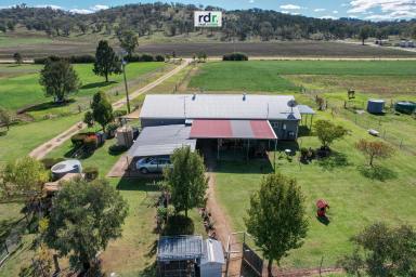 Lifestyle For Sale - NSW - Inverell - 2360 - YOUR OWN SLICE OF RURAL PARADISE  (Image 2)