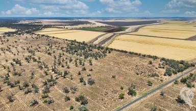 Mixed Farming For Sale - NSW - Wee Waa - 2388 - 26.61-HA RURAL LAND PARCEL OFFERS AMPLE SPACE AND FLEXIBILITY  (Image 2)