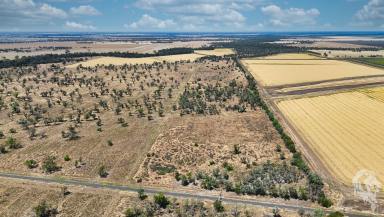 Mixed Farming For Sale - NSW - Wee Waa - 2388 - 26.61-HA RURAL LAND PARCEL OFFERS AMPLE SPACE AND FLEXIBILITY  (Image 2)