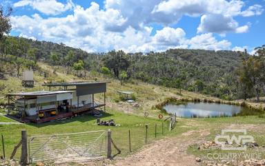 Lifestyle For Sale - NSW - Emmaville - 2371 - Off Grid Lifestyle Property  (Image 2)