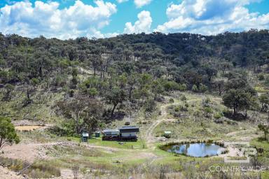 Lifestyle For Sale - NSW - Emmaville - 2371 - Off Grid Lifestyle Property  (Image 2)