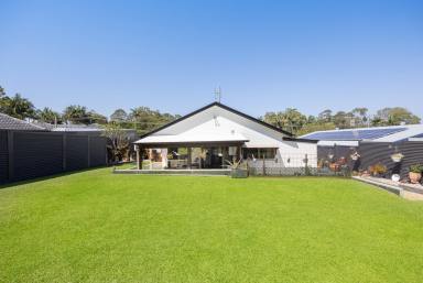 House For Sale - QLD - Cooroy - 4563 - Spacious 4-Bedroom Family Home with Exceptional Entertaining and Workshop  (Image 2)