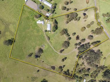 Acreage/Semi-rural Sold - NSW - Fosterton - 2420 - Mountain Views from Karloo Stud  (Image 2)