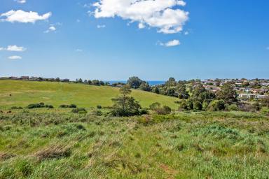 Residential Block For Sale - TAS - Shorewell Park - 7320 - Exceptional Development Opportunity  (Image 2)