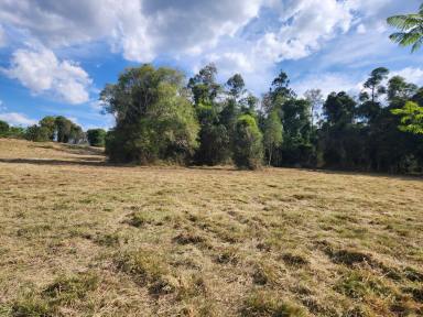 Lifestyle For Sale - QLD - Blackbutt - 4314 - 6.6 Acres - Exceptional Acreage Opportunity  (Image 2)