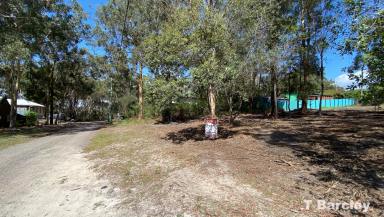 Residential Block Sold - QLD - Russell Island - 4184 - Corner Block less than 3km to Ferry and Island Amenities  (Image 2)