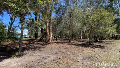 Residential Block Sold - QLD - Russell Island - 4184 - Corner Block less than 3km to Ferry and Island Amenities  (Image 2)