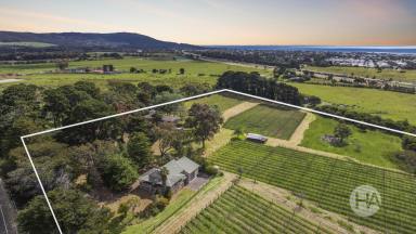 Acreage/Semi-rural For Sale - VIC - Dromana - 3936 - Restore or Reinvent Former Winery On Nearly 12 Acres  (Image 2)