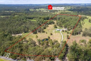 Acreage/Semi-rural For Sale - NSW - Girvan - 2425 - Hedgehill Farm  (Image 2)