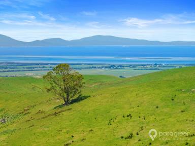 Mixed Farming For Sale - VIC - Foster - 3960 - AMAZING HOME NESTLED BY THE FRANKLIN RIVER  (Image 2)