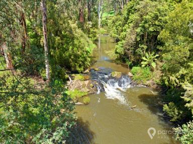 Mixed Farming For Sale - VIC - Foster - 3960 - AMAZING HOME NESTLED BY THE FRANKLIN RIVER  (Image 2)