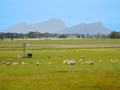 Mixed Farming Auction - VIC - Warrayure - 3301 - AUCTION Wednesday December 18th at 2 pm. 284.75 Ac – 115.23 Ha across 2 non-contingent lots  (Image 2)