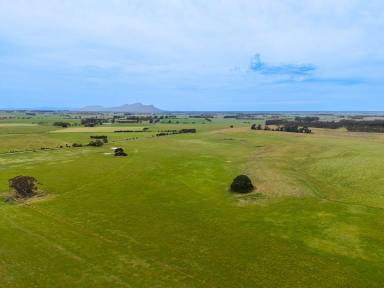 Mixed Farming For Sale - VIC - Warrayure - 3301 - Mixed Farming opportunity 162.25 Ac - 65.66 Ha  (Image 2)