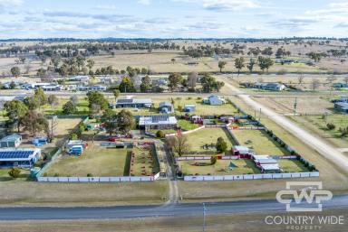 Acreage/Semi-rural For Sale - NSW - Deepwater - 2371 - 3 Bedroom Home with Space and Privacy  (Image 2)