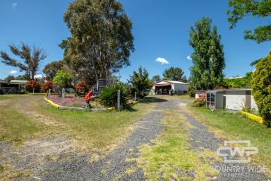 Acreage/Semi-rural For Sale - NSW - Deepwater - 2371 - 3 Bedroom Home with Space and Privacy  (Image 2)