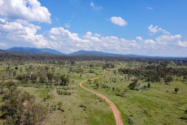Other (Rural) For Sale - QLD - Boyne Valley - 4680 - Quality Breeder Property in Tightly Held Area  (Image 2)