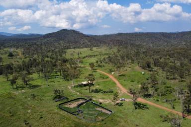 Other (Rural) For Sale - QLD - Boyne Valley - 4680 - Quality Breeder Property in Tightly Held Area  (Image 2)