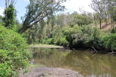 Other (Rural) Auction - QLD - Boynedale - 4680 - Will be Sold Before Christmas  (Image 2)