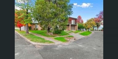 House For Sale - NSW - Khancoban - 2642 - Spacious 2-Storey Family Home on a Generous 828m² Block  (Image 2)