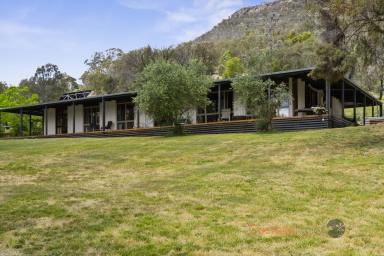 House For Sale - VIC - Tintaldra - 3708 - Spacious 4-Bedroom Mudbrick Home with Stunning Views  (Image 2)