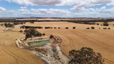 Other (Rural) For Sale - WA - Caljie - 6302 - Prime Cropping, Livestock, Lifestyle Land on the Mortlock River 55.92ha(138ac)  (Image 2)