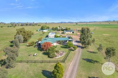 House For Sale - NSW - Tamworth - 2340 - Buy it today and start making money tomorrow!  (Image 2)