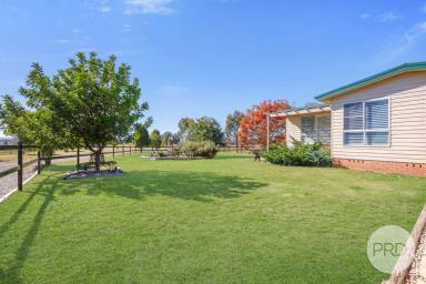 House For Sale - NSW - Tamworth - 2340 - Buy it today and start making money tomorrow!  (Image 2)