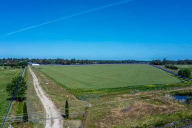 Mixed Farming Auction - SA - Naracoorte - 5271 - VERSATILE AND PROVEN CROPPING PROPERTY  (Image 2)